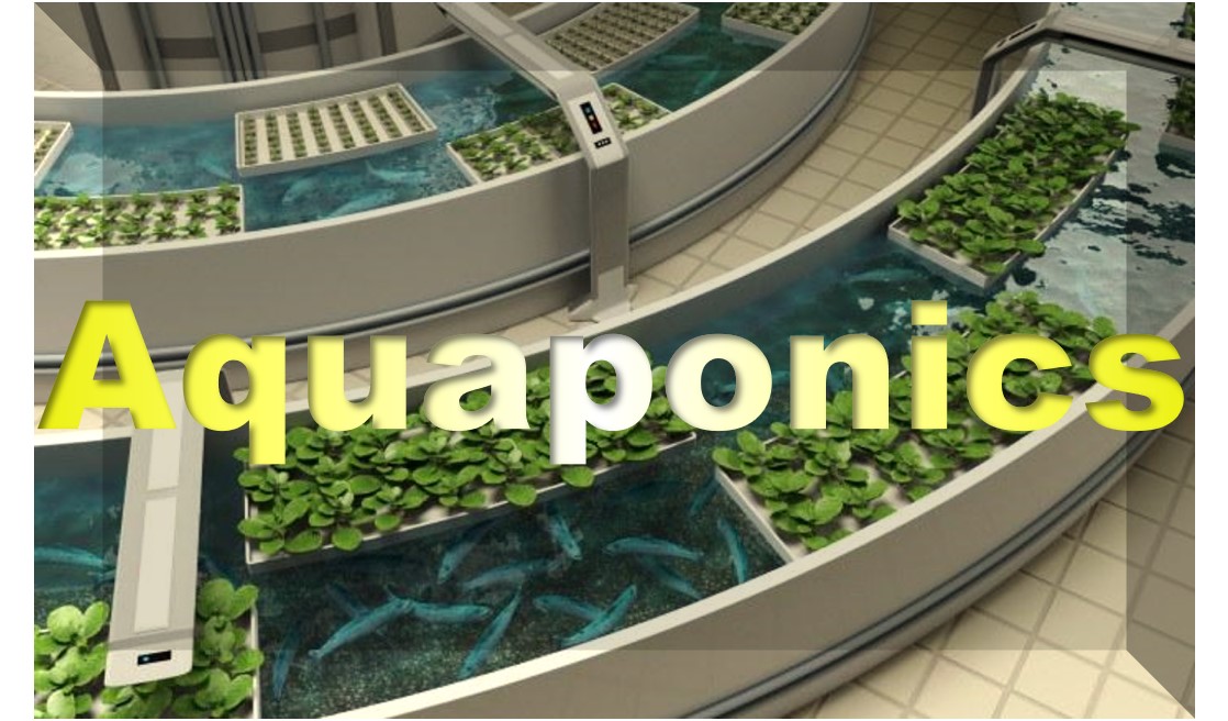 Aquaponics