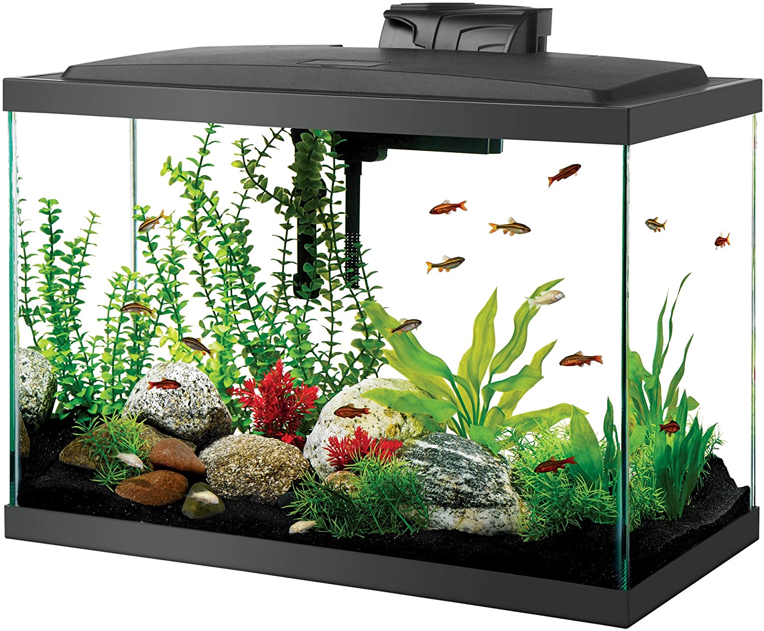 Aqueon LED Aquarium 20 Gal