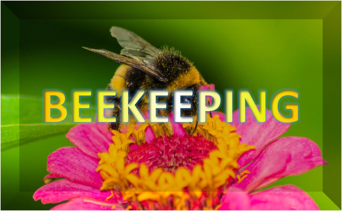 Beekeeping