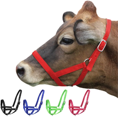 Cattle Halter