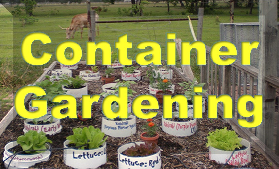 Container gardening