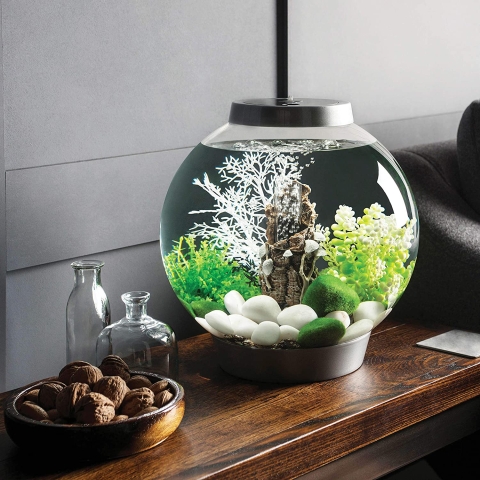 Decorative Fish Tank