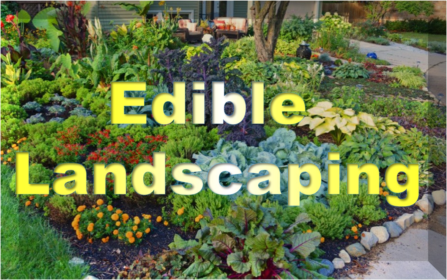 Edible Landscaping