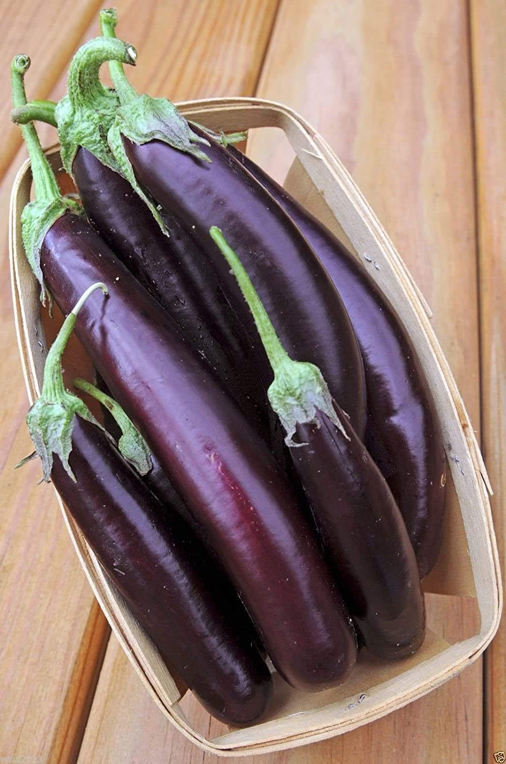 Eggplant