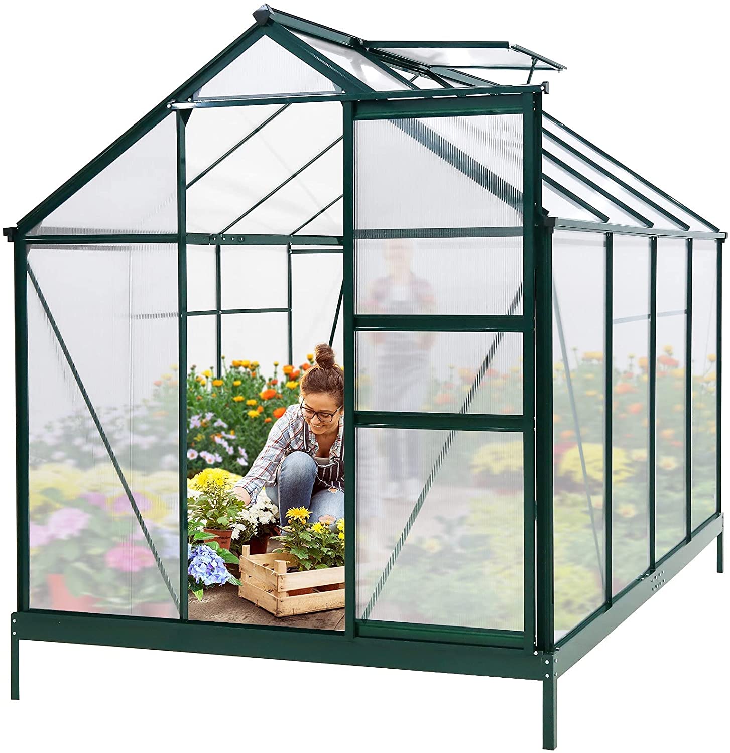 Greenhouse Aluminum 6x8x7