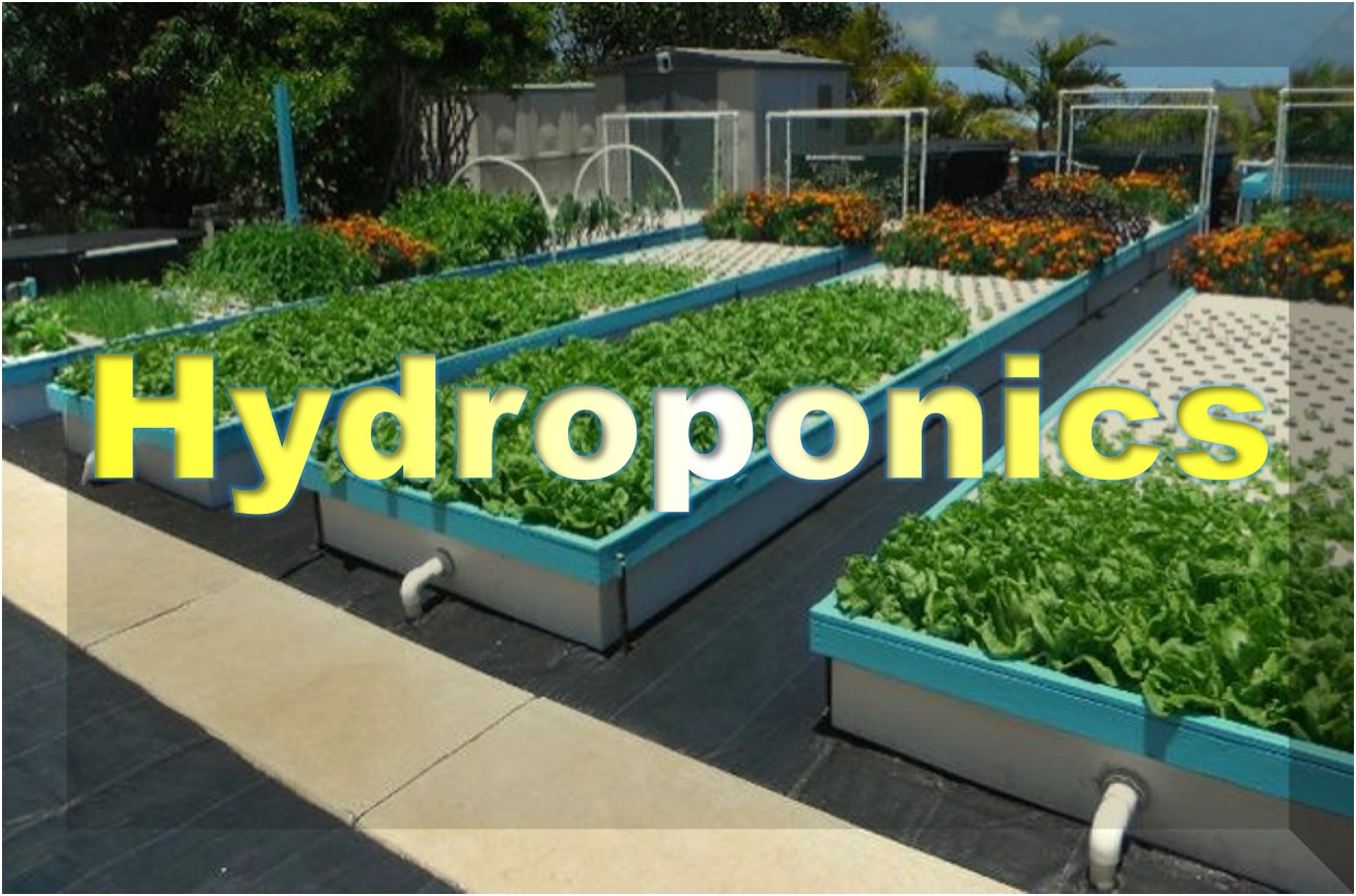 Hydroponics