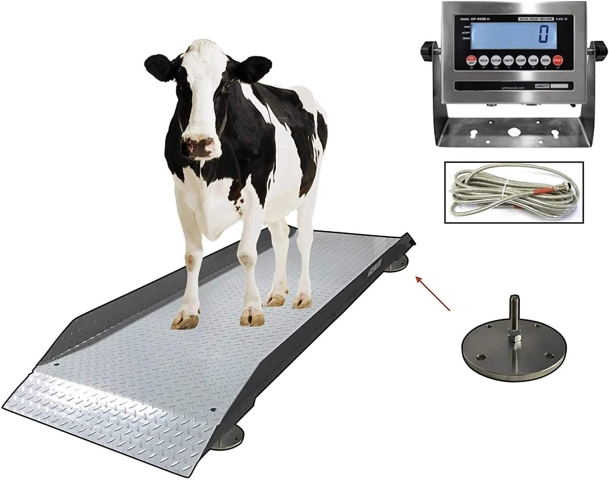 Livestock Scale