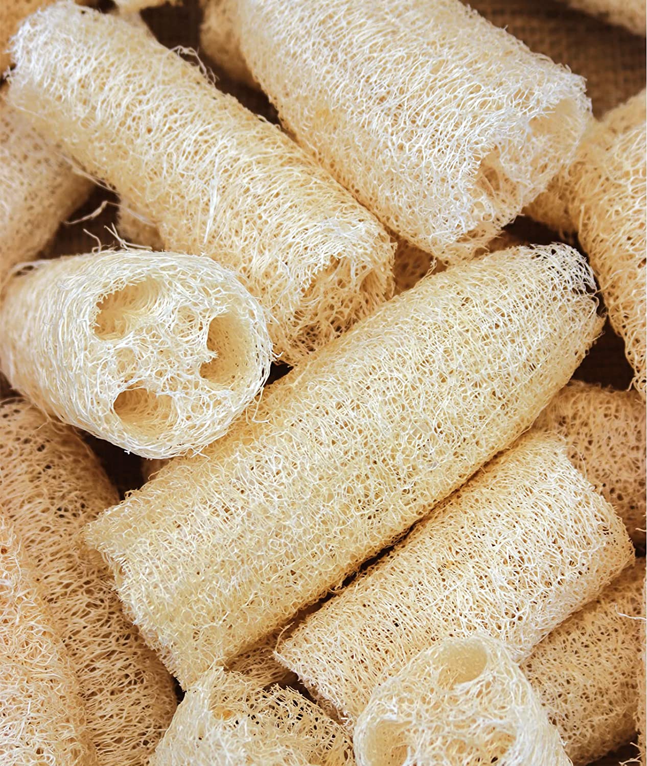 Luffa or Loofah seeds