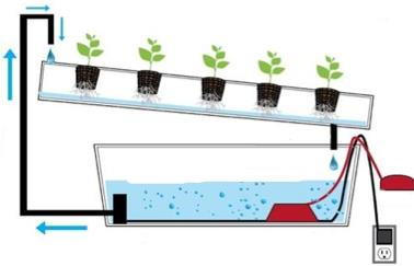 NFT hydroponic system