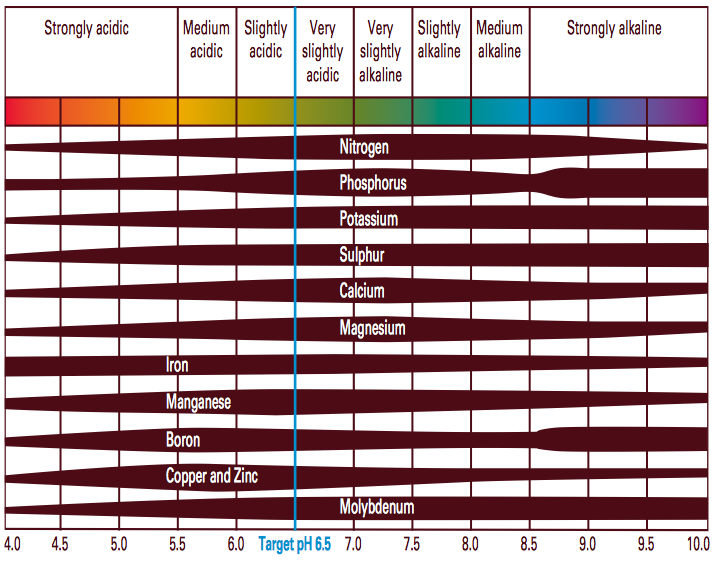 Nutrient Availability with PH