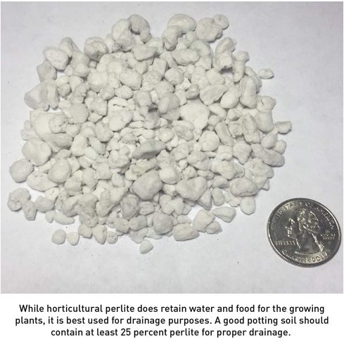 Perlite Media