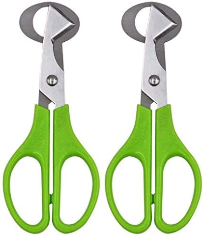 Quail Egg Scissors