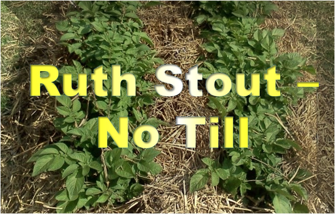 Ruth Stout farming