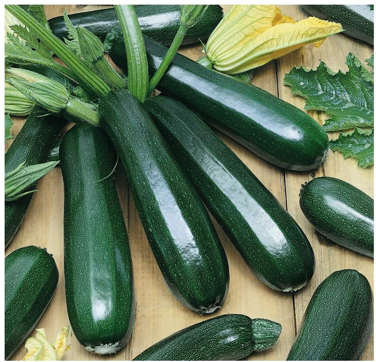 Zucchini Heirloom